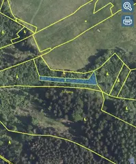 Lesní pozemky p.č. 606, p.č. 608 Horní Studénky, okres Šumperk