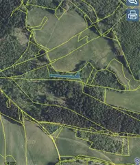 Lesní pozemky p.č. 606, p.č. 608 Horní Studénky, okres Šumperk