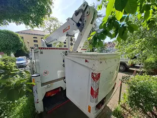 46. e - aukce ČEZ Mercedes Benz 816 DA VARIO, RZ 8T58167
