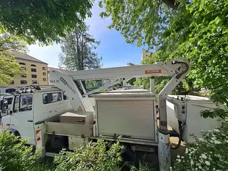 46. e - aukce ČEZ Mercedes Benz 816 DA VARIO, RZ 8T58167
