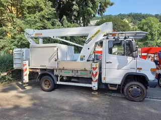 50. e - aukce ČEZ MERCEDES BENZ VARIO 816DA 4X4 S PLOŠINOU, RZ 8T58149