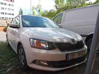29. e - aukce ČEZ ŠKODA FABIA, RZ 1TF7812
