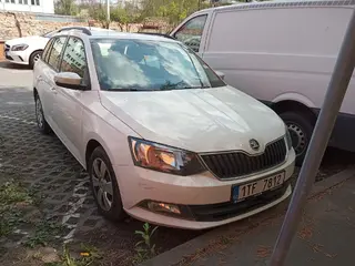 29. e - aukce ČEZ ŠKODA FABIA, RZ 1TF7812