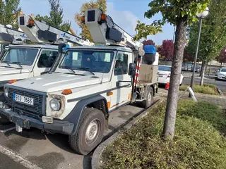 52. e - aukce ČEZ MERCEDES BENZ G 300 plošina Rothlehner 6U38221, RZ 9T03565