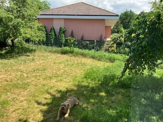 III. 6. Rodinný dům v obci Hrádek č.p. 160