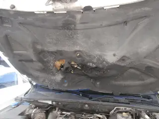 24. e-aukce ČEZ VOLKSWAGEN AMAROK, RZ 9T03981