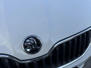 VŘ č. 19 ČEZ ŠKODA FABIA 1.4 TDI 66kW Ambition Combi, RZ 1TL2193