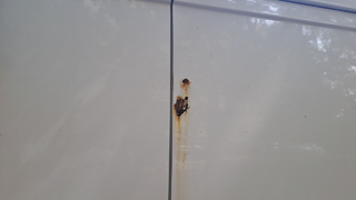 VŘ č. 29 ČEZ PEUGEOT BOXER 2.2 BlueHDI 140 3000 L1H1 Active, RZ 1TT6743