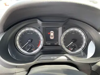 29. e - aukce ČEZ ŠKODA OCTAVIA, RZ 1TN4911