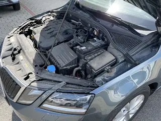 29. e - aukce ČEZ ŠKODA OCTAVIA, RZ 1TN4911