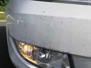 32. e - aukce ČEZ ŠKODA FABIA, RZ 9T49837