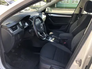  51. e - aukce ČEZ Škoda Octavia Ambition 1,6 TDI, RZ 1TF9334