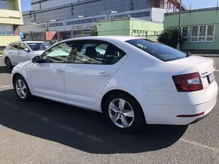  51. e - aukce ČEZ Škoda Octavia Ambition 1,6 TDI, RZ 1TF9334
