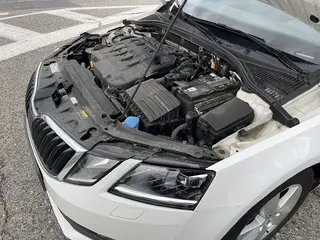 50. e - aukce ČEZ Škoda Octavia Ambition 1,6 TDI, RZ 1TS2069