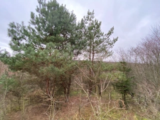 Pozemek p.č. 778 Šarovy, okres Zlín