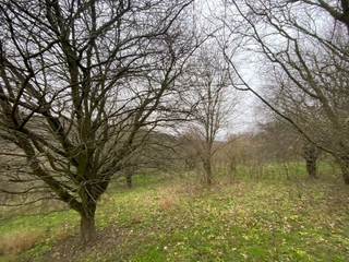 Pozemek p.č. 778 Šarovy, okres Zlín