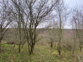 Pozemek p.č. 778 Šarovy, okres Zlín