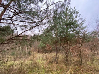 Pozemek p.č. 778 Šarovy, okres Zlín