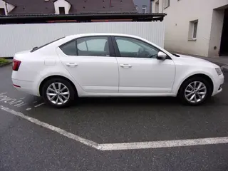 29. e - aukce ČEZ ŠKODA OCTAVIA, RZ 1TM6607