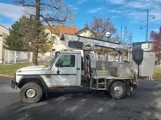 53. e - aukce ČEZ Mercedes Benz G 300 plošina Rothlehner, RZ 9T02116