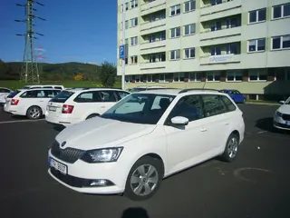 36. e - aukce ČEZ ŠKODA FABIA, RZ1TH9607