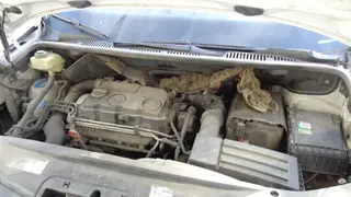 3.e-aukce -  ČEZ Volkswagen Caddy RZ 8T58594