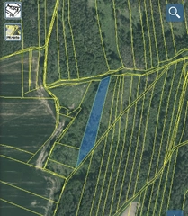 Pozemek 566/6 a 566/14 Lštění nad Zubřinou, obec Blížejov, okres Domažlice