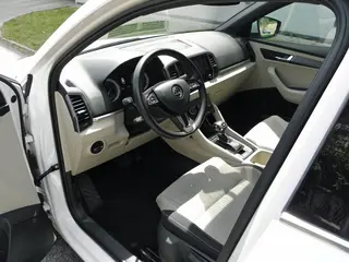 30. e - aukce ČEZ ŠKODA KAROQ, RZ 1TI5145_opakovaná