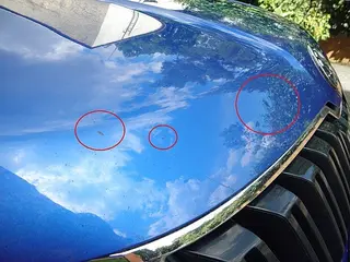 49. e - aukce ČEZ Škoda Kodiaq Style 2,0 TDI, RZ 1TU3243