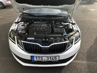 53. e - aukce ČEZ Škoda Octavia Ambition 1,6 TDI, RZ 1TS3145
