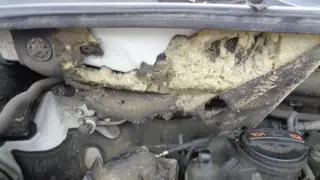 24. e-aukce ČEZ VOLKSWAGEN AMAROK, RZ 8T37425