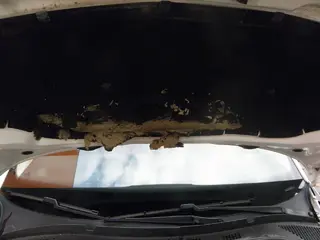 36. e - aukce ČEZ ŠKODA FABIA, RZ9T91315