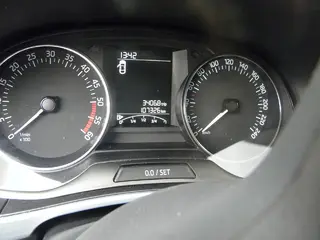 36. e - aukce ČEZ ŠKODA FABIA, RZ1TF3194