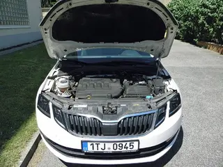 48. e - aukce ČEZ Škoda Octavia Ambition 1,6 TDI, RZ 1TJ0945