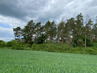 Pozemek 1535 Lštění nad Zubřinou, obec Blížejov, okres Domažlice