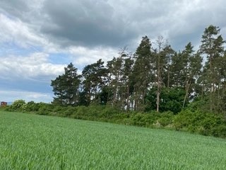 Pozemek 1535 Lštění nad Zubřinou, obec Blížejov, okres Domažlice