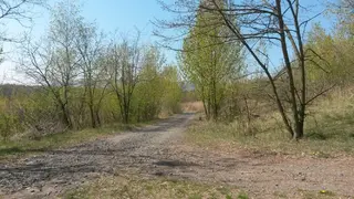 4. soubor pozemků CITY TOWER