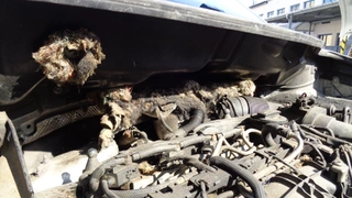 26. e-aukce ČEZ VOLKSWAGEN CADDY, RZ 8T70992