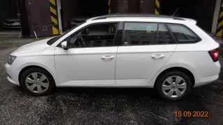 34. e - aukce ČEZ ŠKODA FABIA, RZ 1TF7821