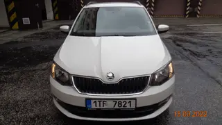34. e - aukce ČEZ ŠKODA FABIA, RZ 1TF7821