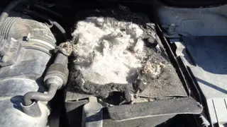 26. e-aukce ČEZ VOLKSWAGEN CADDY, RZ 9T48878