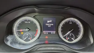 53. e - aukce ČEZ Škoda Kodiaq STY, RZ 1TM3825