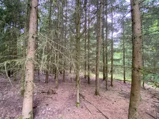 Pozemek 501/43 Lštění nad Zubřinou, obec Blížejov, okres Domažlice