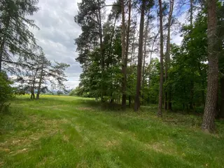 Pozemek 501/43 Lštění nad Zubřinou, obec Blížejov, okres Domažlice