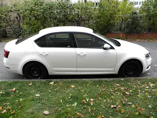 53. e - aukce ČEZ Škoda Octavia Ambition 1,6 TDI, RZ 1TF3959