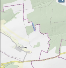  Pozemek 501/39 a 501/43 Lštění nad Zubřinou, obec Blížejov, okres Domažlice