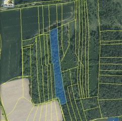  Pozemek 501/39 a 501/43 Lštění nad Zubřinou, obec Blížejov, okres Domažlice