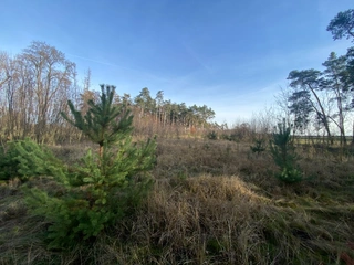 Pozemek 2203 Kostelní Lhota, okres Nymburk