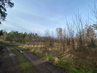 Pozemek 2203 Kostelní Lhota, okres Nymburk