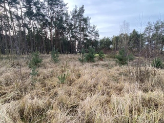 Pozemek 2203 Kostelní Lhota, okres Nymburk
